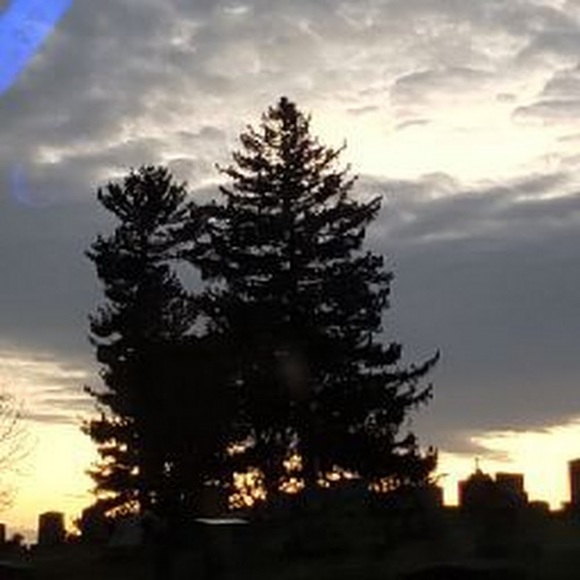 Meet your Posher, Danielle - Picture 1 of 1